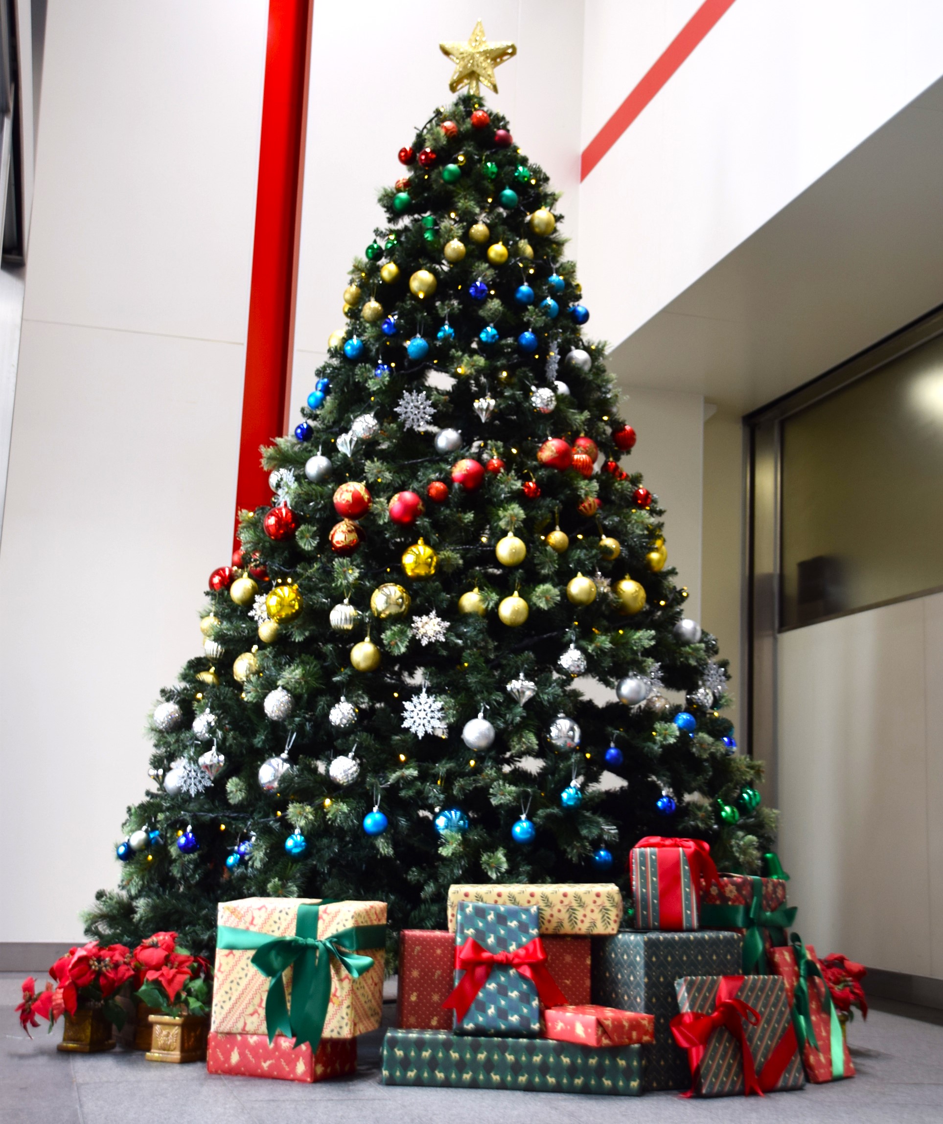 クリスマス　飾り　オーダー受付 クリスマス】エントランスを装飾しました！｜ニュース｜OIC 大阪情報